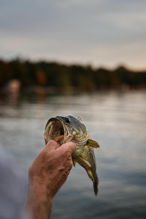 Bass Lake Country Lodge بريتوريا المظهر الخارجي الصورة